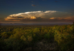 Thabaledi Bush Camps