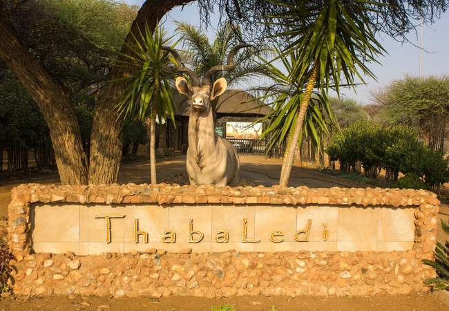 Thabaledi Game Lodge