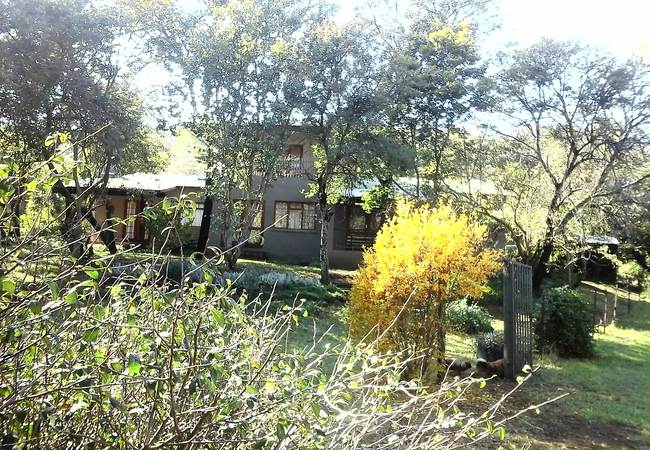 Squirrels Nest House