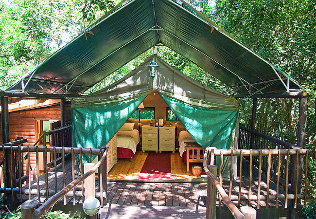 Big and Small Kokomoyo Tent 