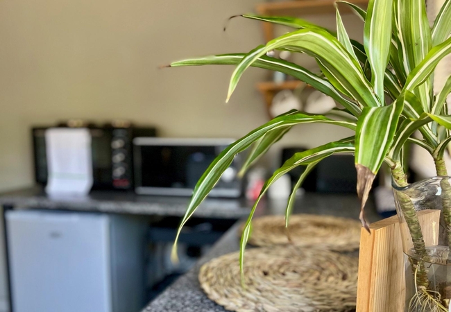 The Boshoff Garden Cottage