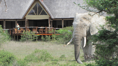 The Bush Lodge