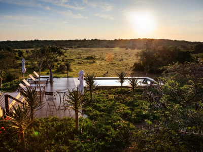 The Bush Lodge