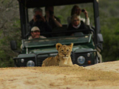 The Bush Lodge