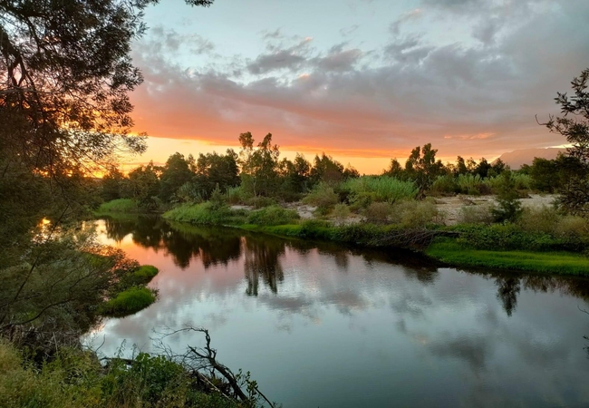 The Gaia Sanctuary