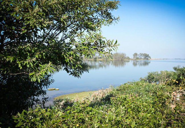 View of lagoon