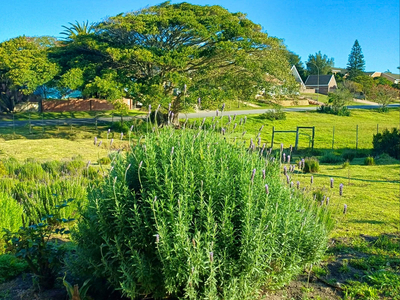 Exclusive Use Holiday Home