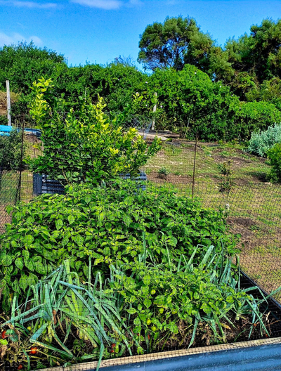 Exclusive Use Holiday Home