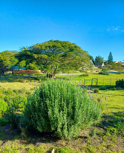 Exclusive Use Holiday Home