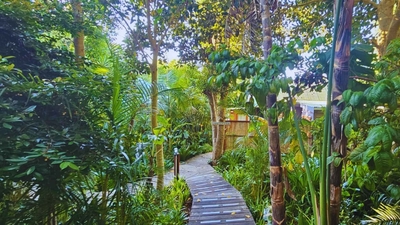 The Bamboo Lodge in Knysna
