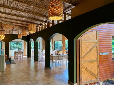 The Bamboo Lodge in Knysna