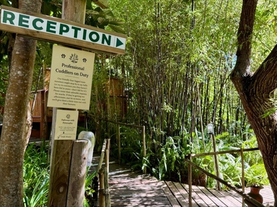 The Bamboo Lodge in Knysna