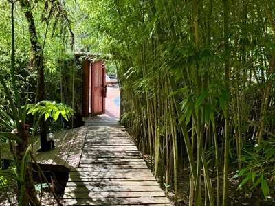 The Bamboo Lodge in Knysna