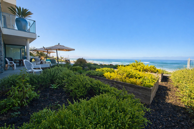 The Ocean View