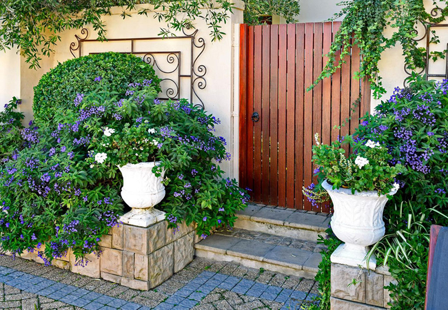 The Protea Apartment