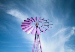 The Purple Windmill