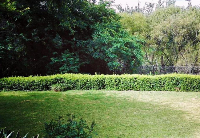 The Riverhouse Guesthouse