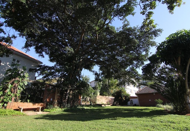 The St. James On Venice