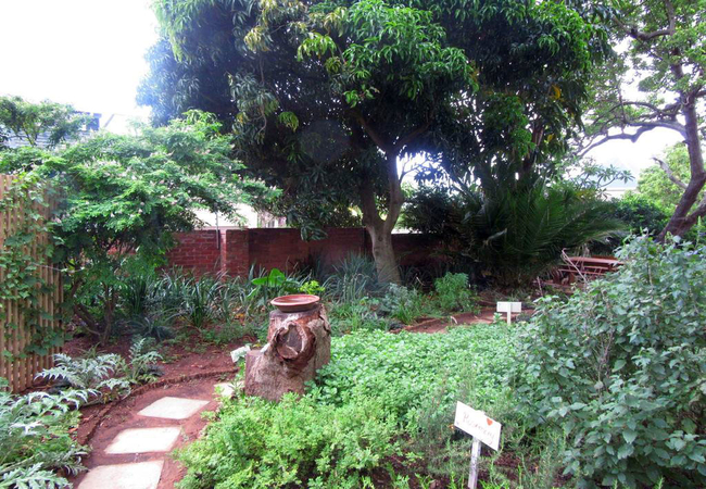 The St. James On Venice