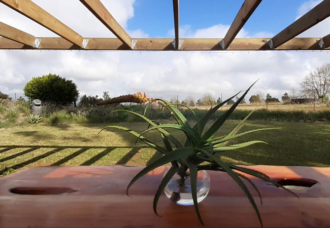 View outside dining area