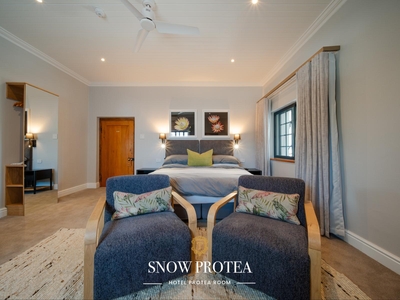 Protea Rooms