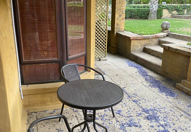 Fun and Bright Suite