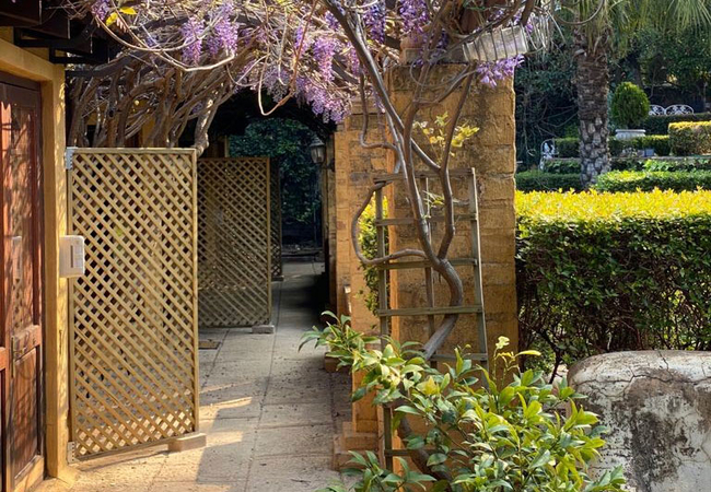 Fun and Bright Suite