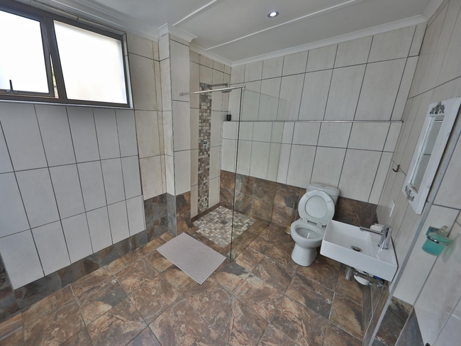 Ostrich - Comfort King Room 