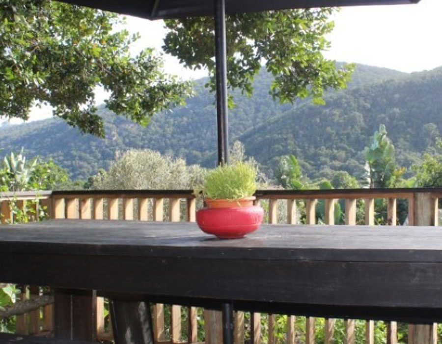 Exclusive Use Glamping Site