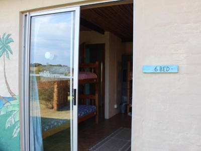 The Wild Farm Backpackers