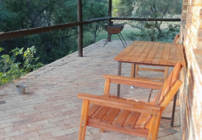 Thirsty Falls Protea