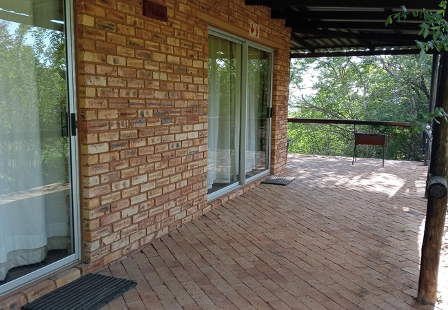 Thirsty Falls Protea