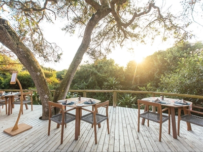 Thonga Beach Lodge
