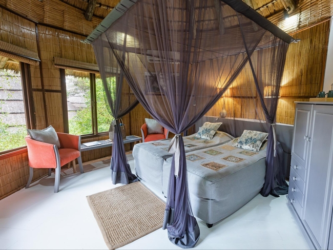 Family Forest Room
