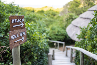 Thonga Beach Lodge