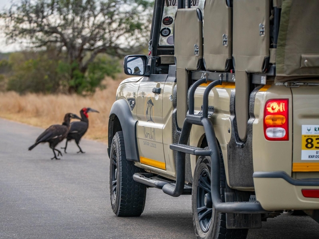 Thornhill Safari Lodge