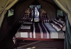 Umbrella Thorn Family Tent Camp