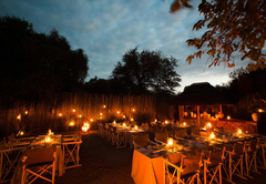 Thornybush Game Lodge