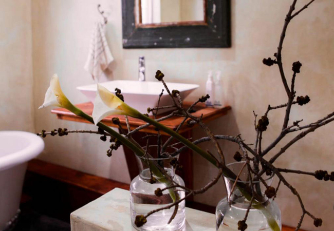 Double Room Tub and Twin Shower