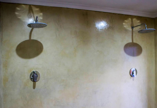 Double Room Tub and Twin Shower