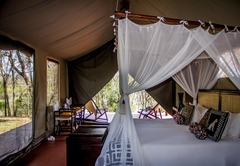Tented Camps