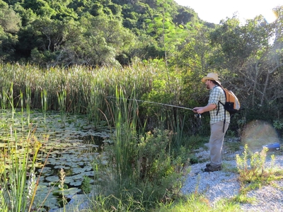 Thunzi Bush Lodge