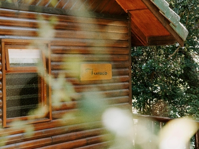 Turaco 1-Bedroom Deluxe Suite