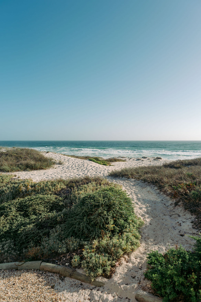 Thyme & Tide