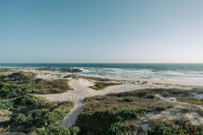 Thyme & Tide