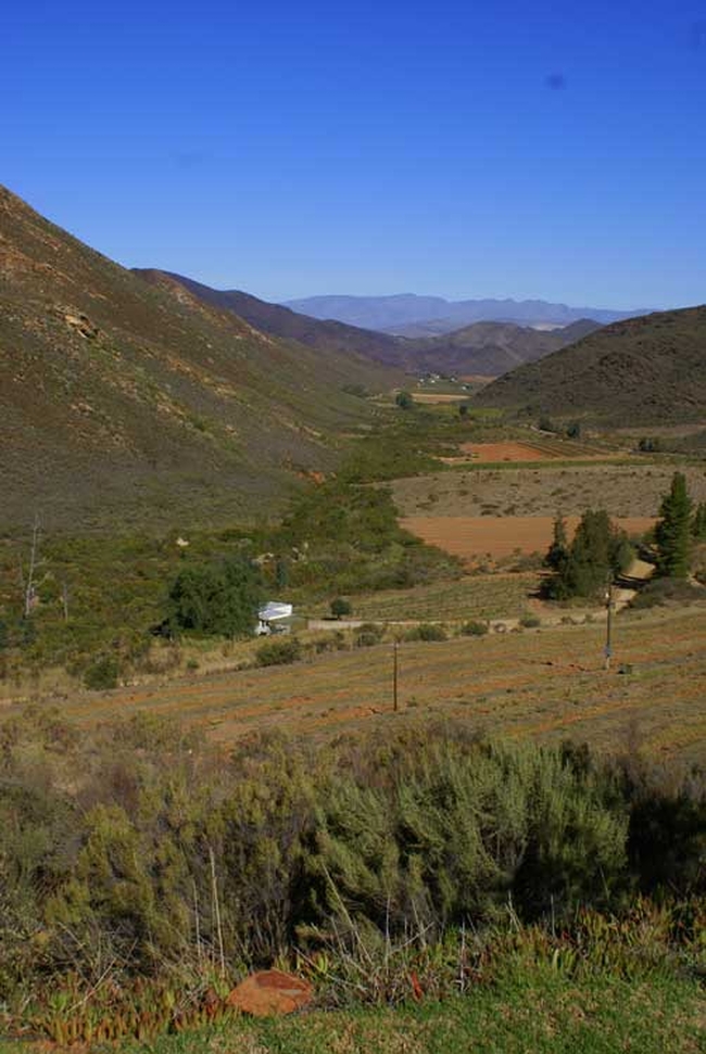 Pepper Tree Cottage