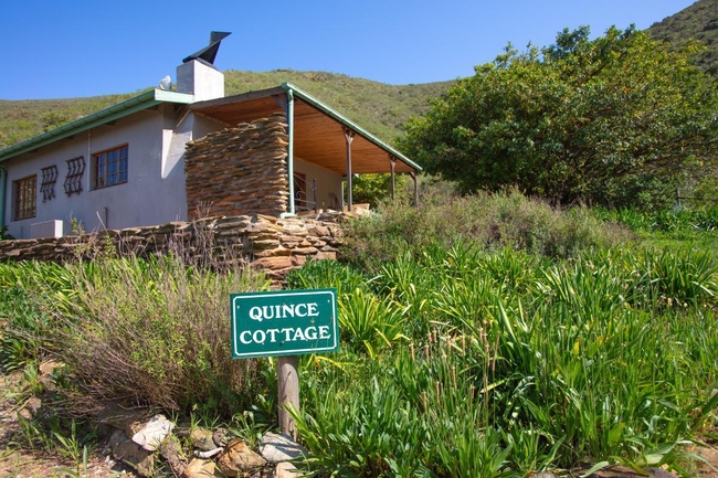 Quince Cottage