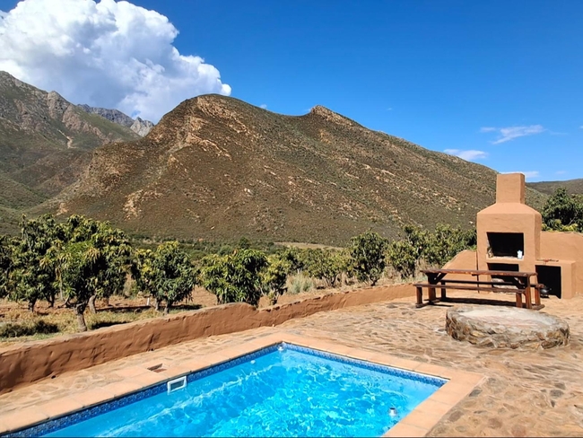 Mango Lodge