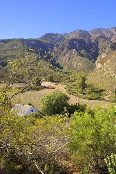 Tierhoek House and Cottage