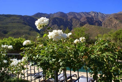 Fig Tree House and Cottage